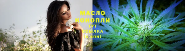 гашик Майский