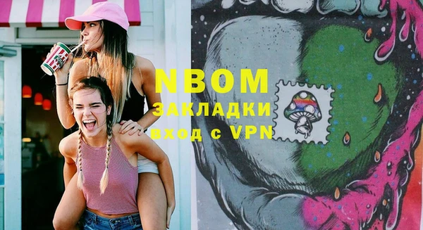 гашик Майский