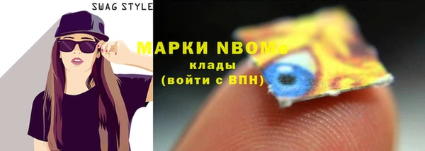 гашик Майский