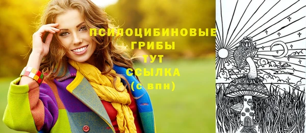 гашик Майский