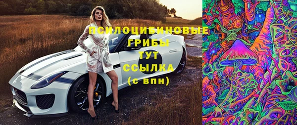 гашик Майский