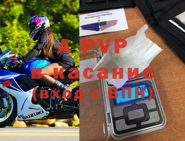 гашик Майский