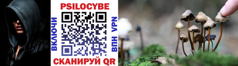 магазин продажи   мега как войти  Галлюциногенные грибы Cubensis  Подпорожье 